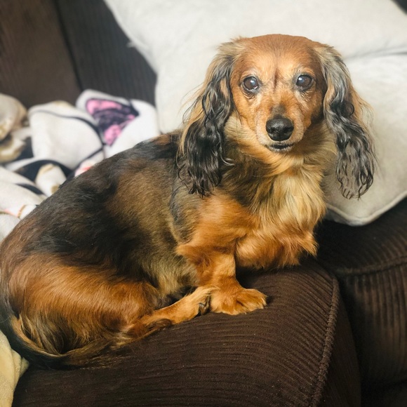 Meet your Posher, Christine - Picture 2 of 2